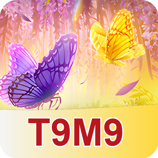 Formulário de Registro T9M9